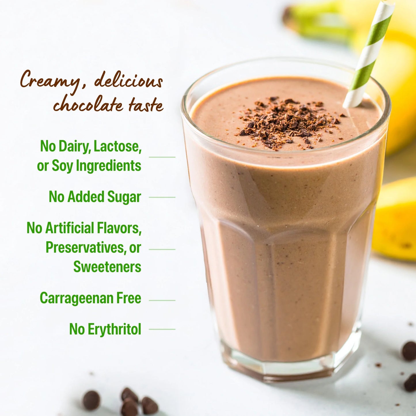 Organic Vegan 21G Protein Powder, Plant Based Shake Drink, Creamy Chocolate Fudge 1.02Lb