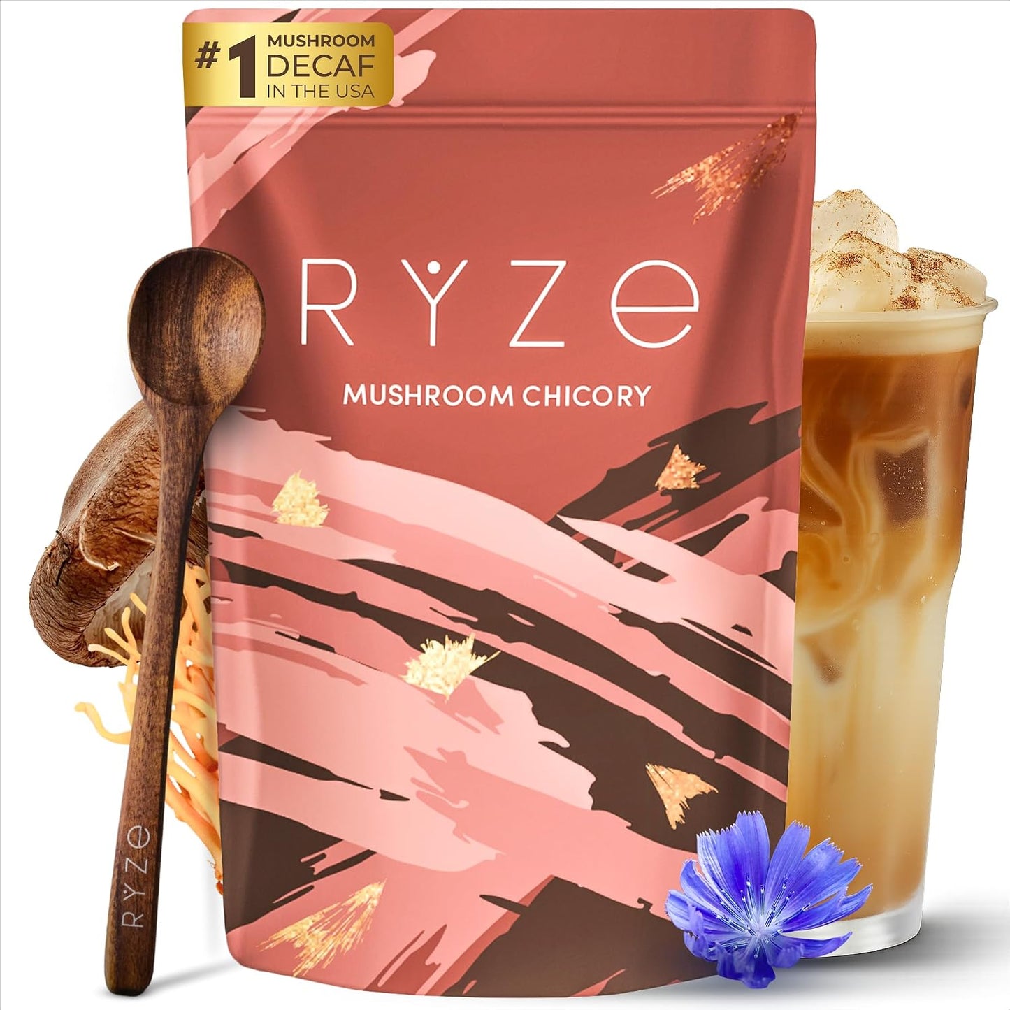 Mushroom Chicory with 6 Organic Adaptogenic Mushrooms, Keto Decaf Alternative with Chicory Root for Energy, Focus, Digestion, Immunity with Lions Mane Pack of 1