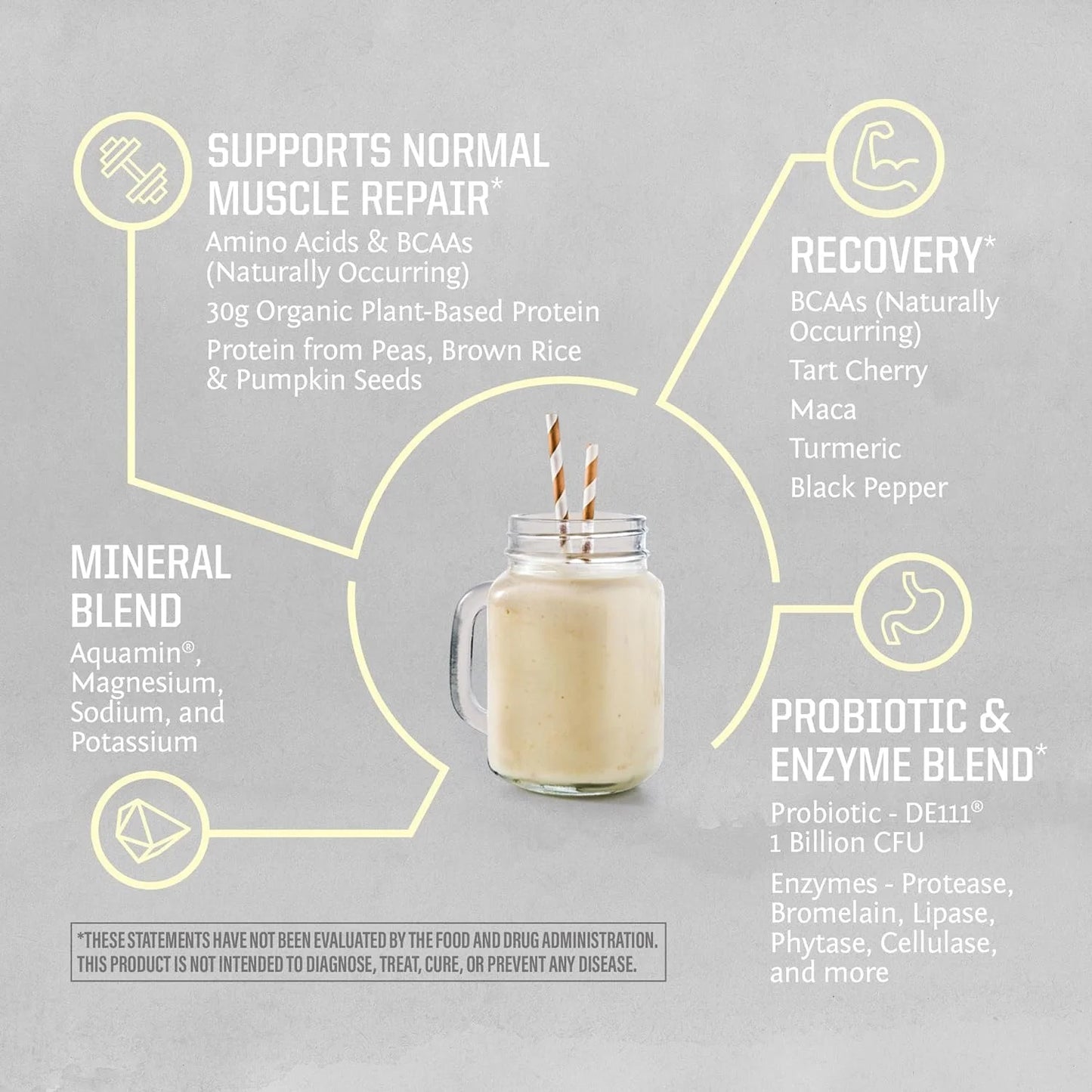 Sport Organic Active Protein Vanilla Vegan Protein Powder 20 Servings